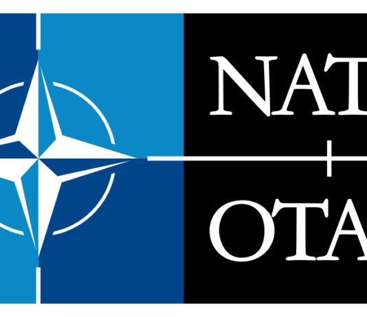 NAVO logo
